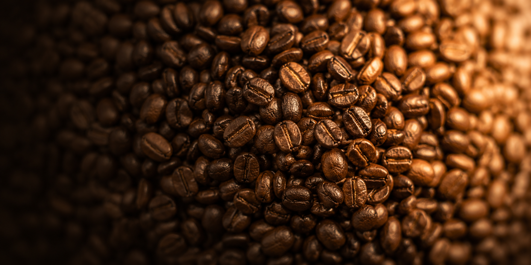 Kaffeebohnen Banner